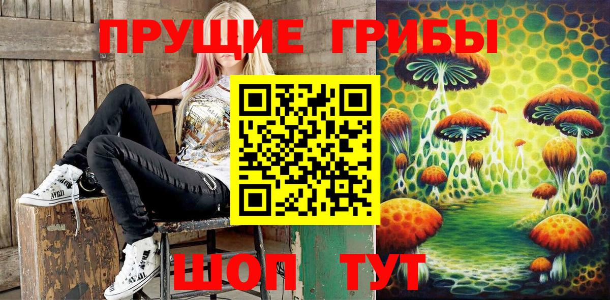 Псилоцибиновые грибы GOLDEN TEACHER  Псилоцибиновые грибы Magic Shrooms  купить   Малгобек  Вход с VPN 